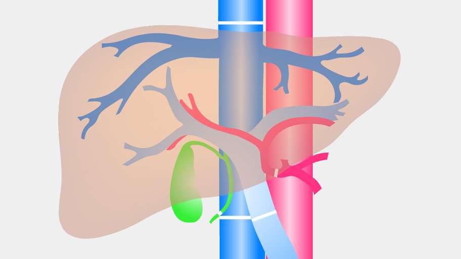 Dr. Bhate Gastro Liver Clinic, Gastroenterologist in Pune, Gastroenterologist in baner, Gastroenterologist in pimpri chinchwad, Gastroenterologist in balewadi