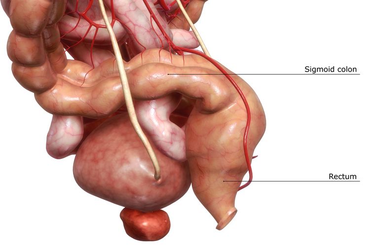 Dr. Bhate Gastro Liver Clinic, Gastroenterologist in Pune, Gastroenterologist in baner, Gastroenterologist in pimpri chinchwad, Gastroenterologist in balewadi