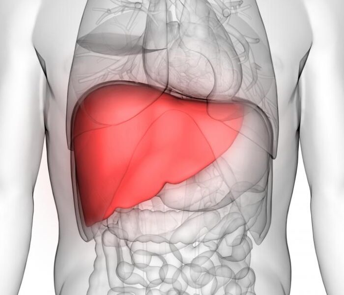 Liver-transplant