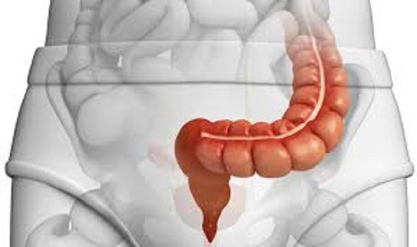 Dr. Bhate Gastro Liver Clinic, Gastroenterologist in Pune, Gastroenterologist in baner, Gastroenterologist in pimpri chinchwad, Gastroenterologist in balewadi