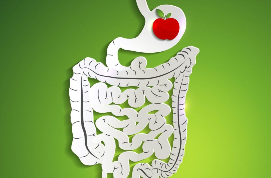 How Your Digestive Health Affects Mental Well-being